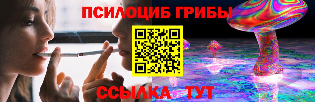 Рязань  Галлюциногенные грибы MAGIC MUSHROOMS  Вход с VPN  Псилоцибиновые грибы Psilocybine cubensis 